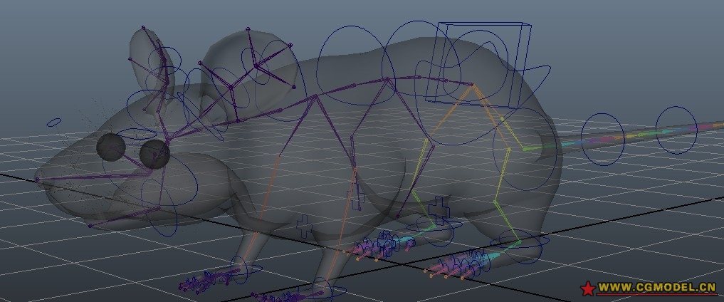 maya小白鼠模型 带绑定