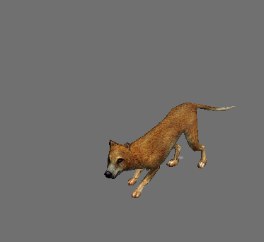 3d写实小狗带绑定和各种动画