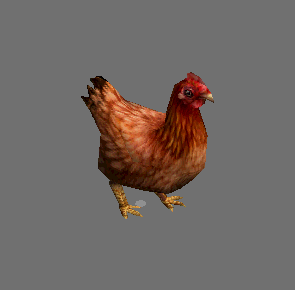 写实母鸡带绑定和各种动画
