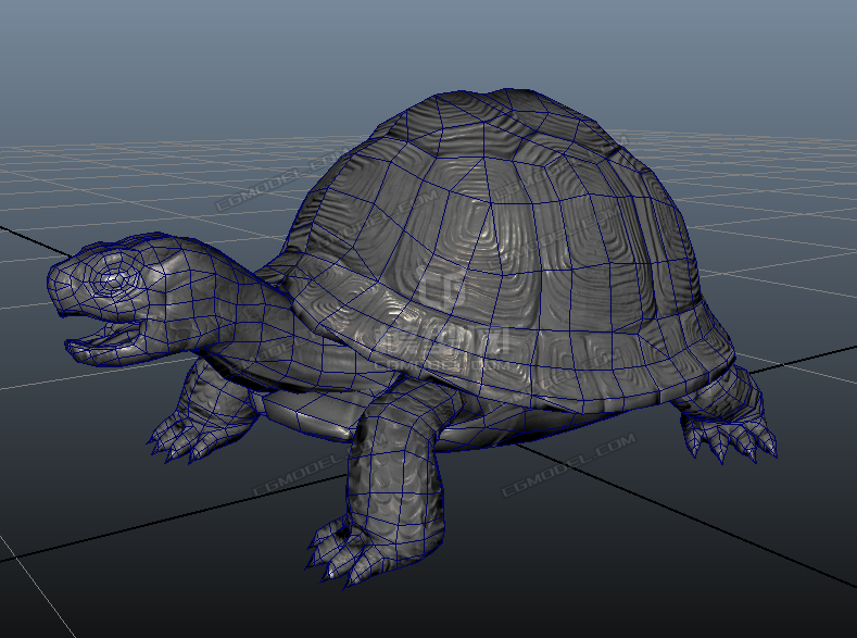 影视级别写实海龟乌龟 影视游戏均可用
