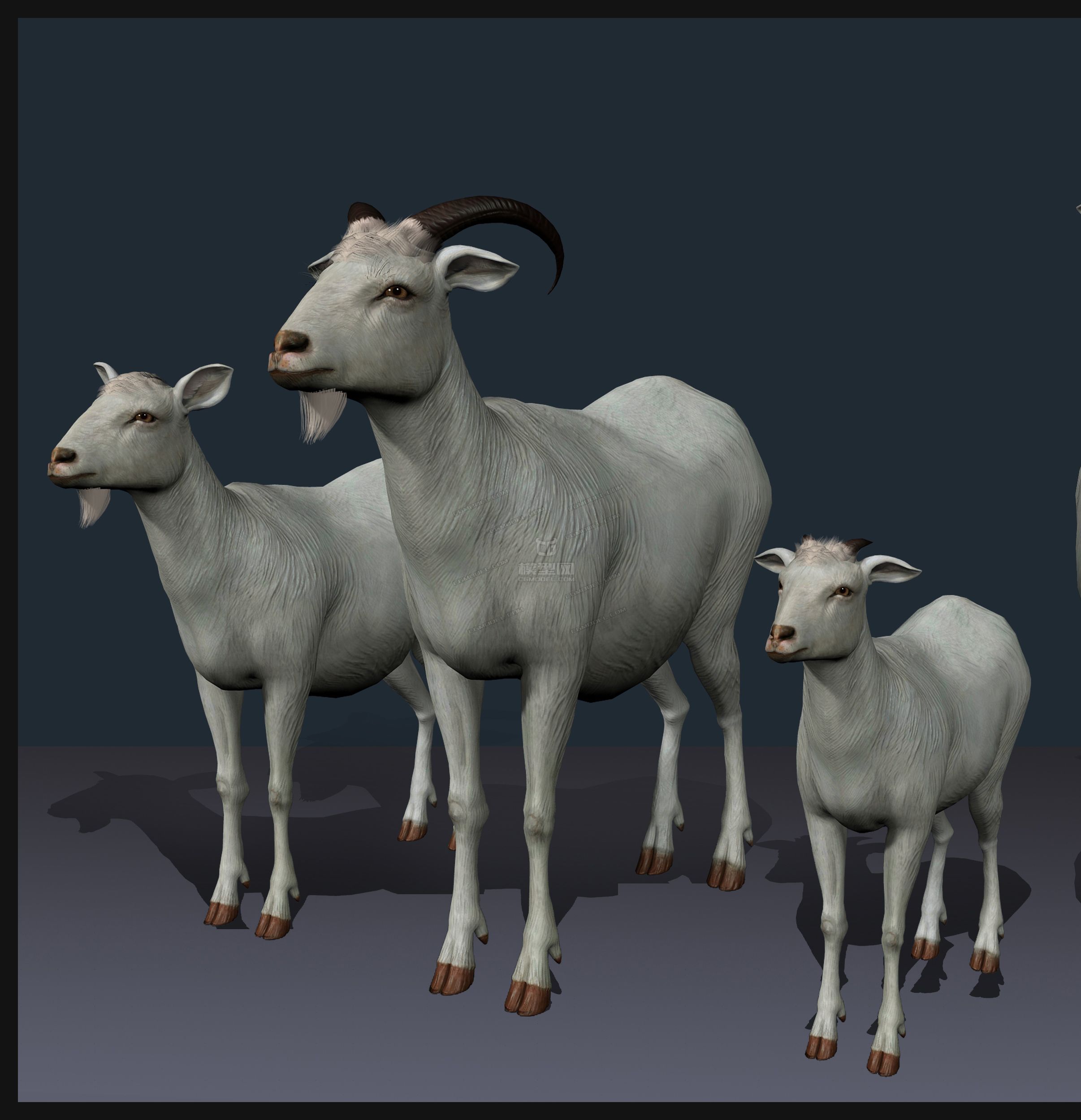 影视级写实山羊羚羊 布线规整 里面三个模型山