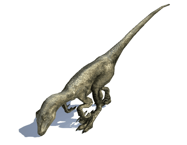 写实迅猛龙 恐龙 写实恐龙 带绑定 有贴图 48种动画 恐龙动画 恐龙