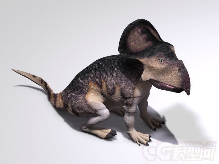 带贴图的可爱小恐龙,恐龙幼崽,写实年幼的恐龙,原角龙protoceratops