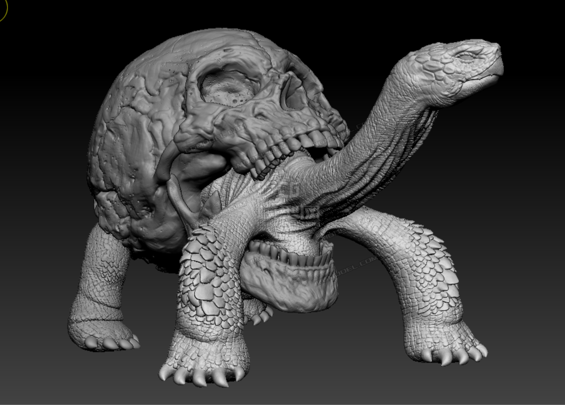 骷贵骷颅头乌龟怪物模型