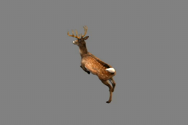 3d(鹿)模型带动作和预渲染图(max场_tomhegon作品__cg