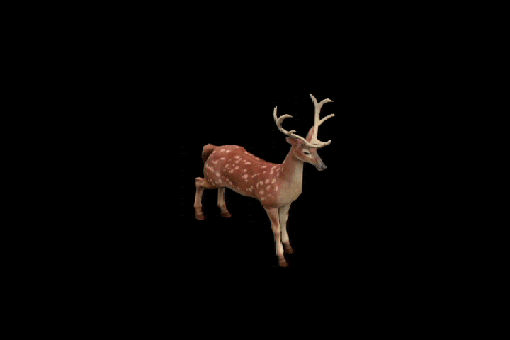 3d动物合集带动画和预渲染图(熊,麋鹿)
