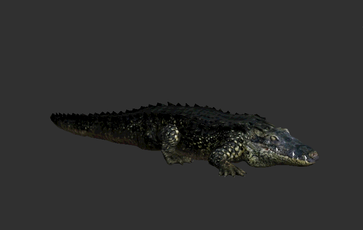 非洲草原动物系列9_影视级超写实冷血两栖类爬行动物 鳄鱼