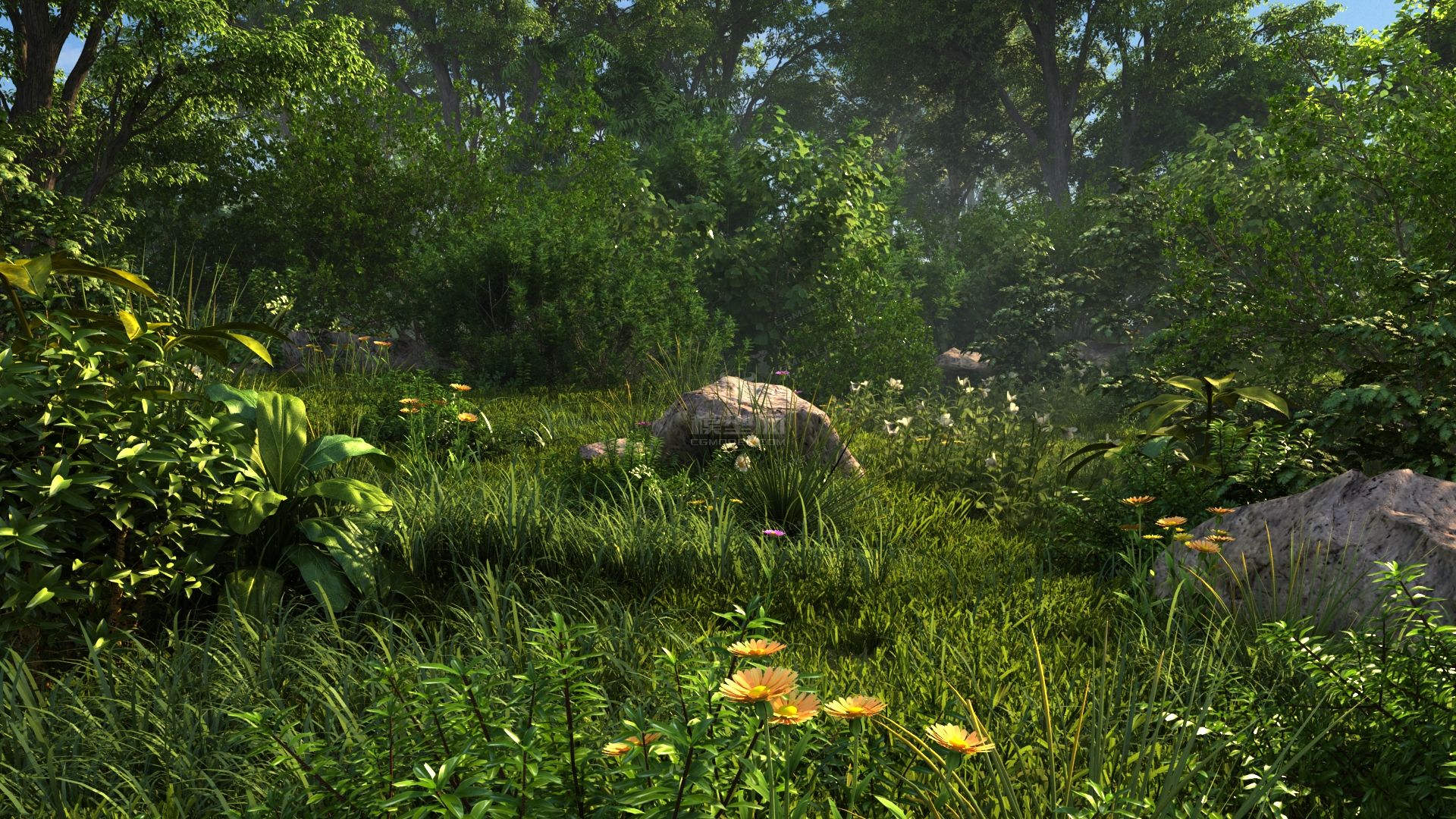 树林 草丛 野外丛林 草地 景观 精模花草树木灌木