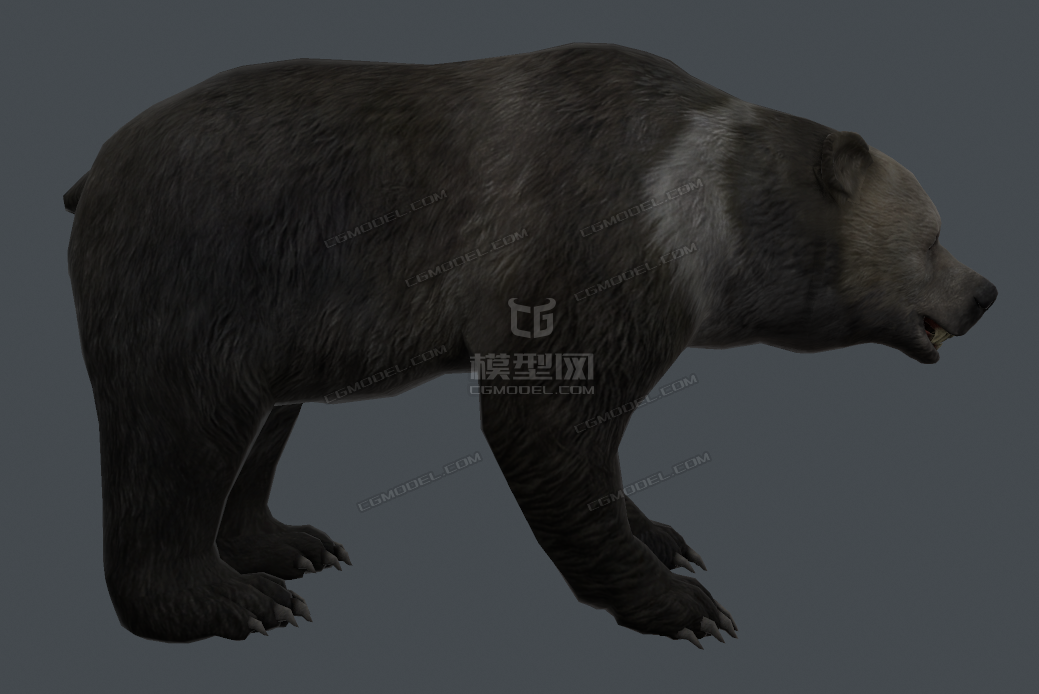 2只写实黑熊亚洲黑熊马戏团狗熊马来熊瞎子模型