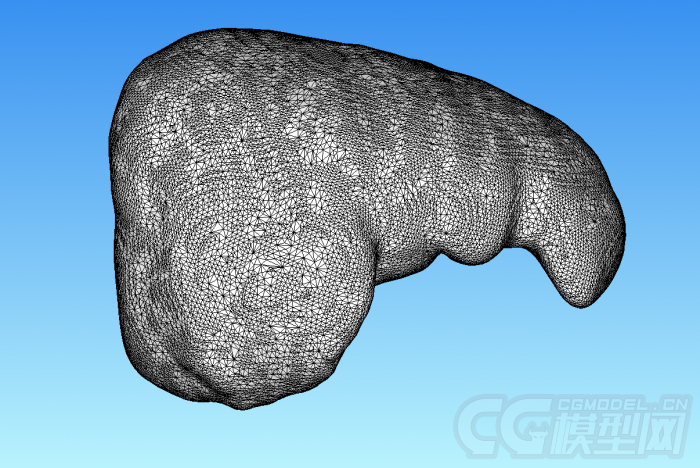 可3d打印的人体器官肝脏高精细模型