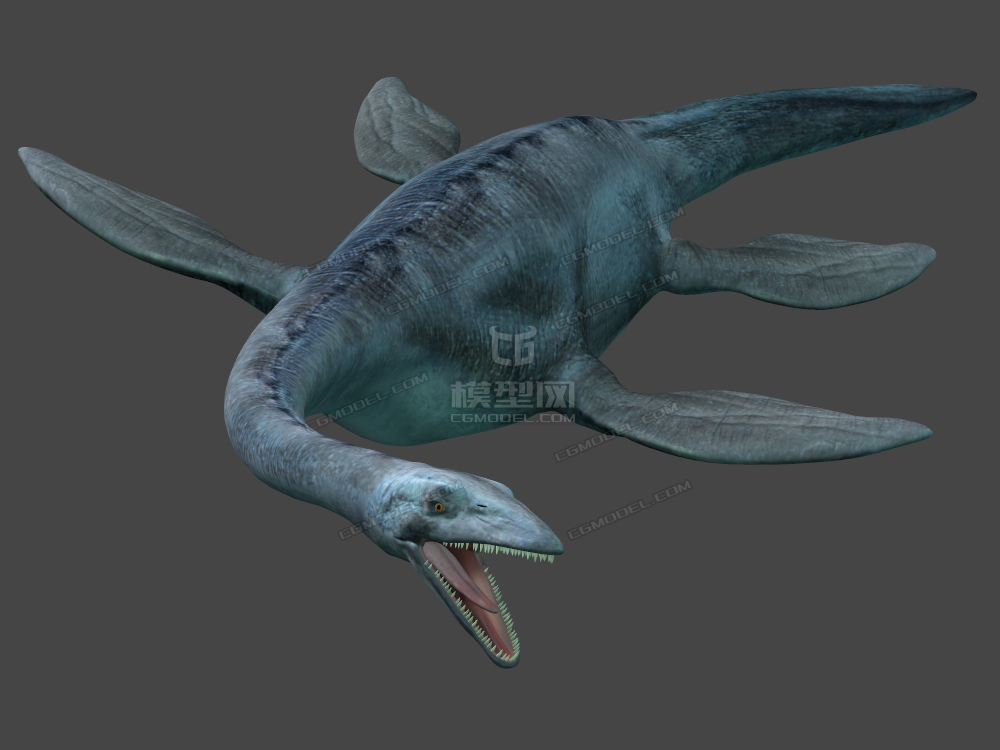 带绑定及贴图的薄片龙 蛇颈龙板龙 elasmosau