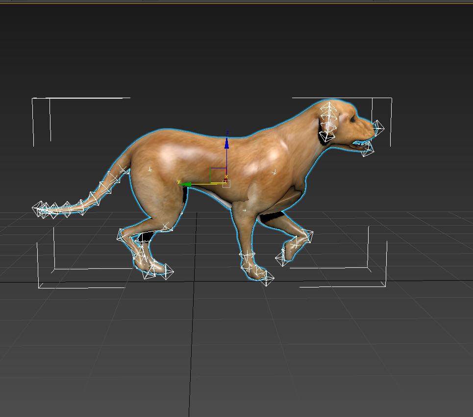 黄狗 狗 狗奔跑 绑定 动画 模型下载 fbx