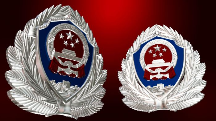 武警帽徽 警徽模型 徽章模型