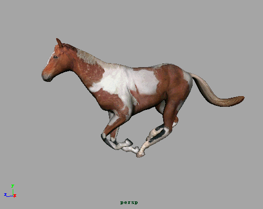 超写实马之二,带绑定,动作和两套贴图,maya-max2012