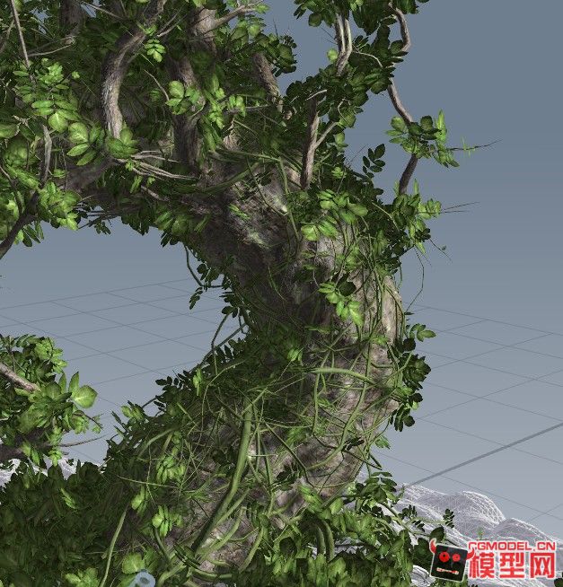 藤蔓树模型含高模低模两个版本