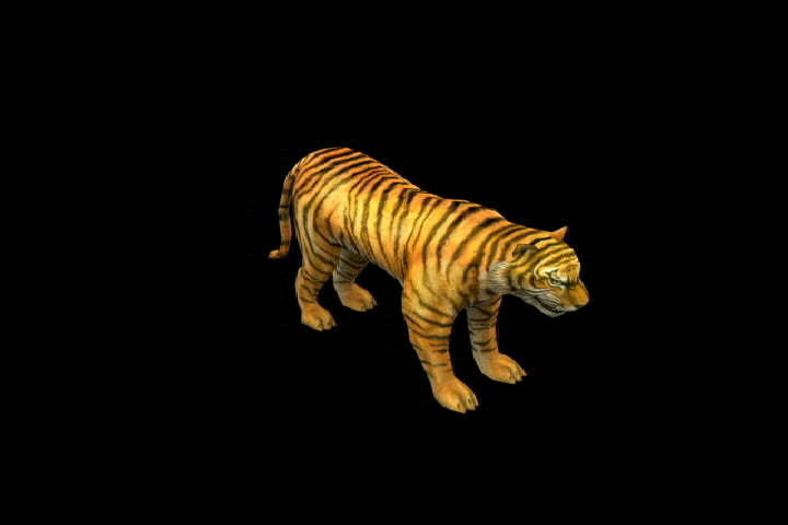 3d老虎带动作和预览图