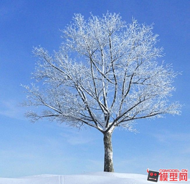 漂亮冬天雪景树