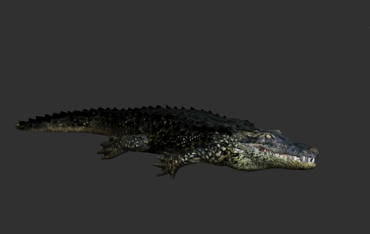 非洲草原动物系列9_影视级超写实冷血两栖类爬行动物 鳄鱼 美洲鳄 食鱼鳄 尼罗鳄-CG模型网(cgmodel)-专注CG模型