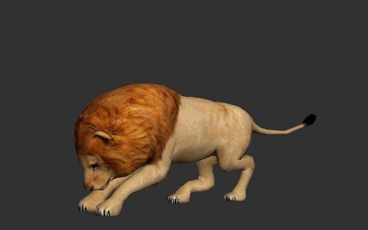 非洲草原动物系列13_影视级超写哺乳动物 狮子 lion 雌雄两态猫科动物