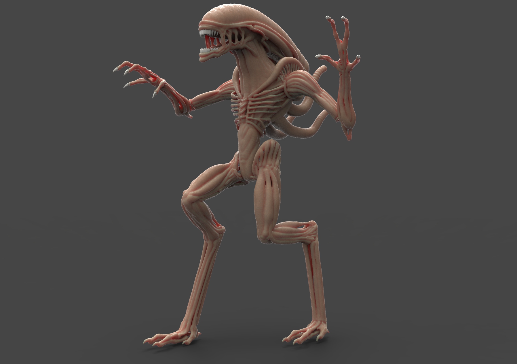 异形alien 科幻 外星生物 生物世界 动漫动画 动漫人物