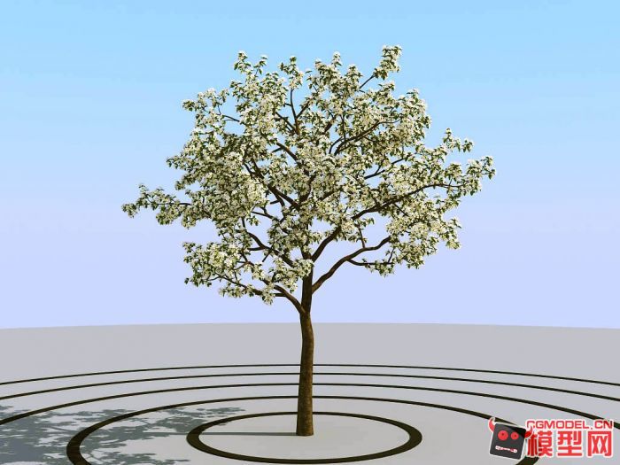 超真实树模型（高模树模型）