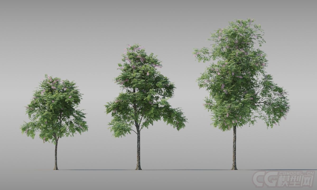 Grow FX 树木花草--原文件 max最强牛x植物插件植物库 动态树 动画树-CG模型网(cgmodel)-专注CG模型