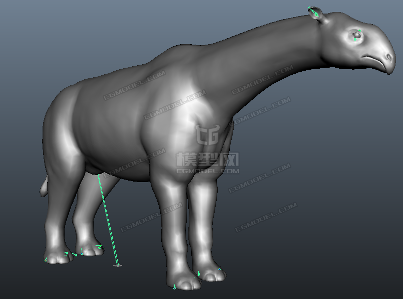 远古生物古代动物长颈犀形兽巨犀兽paraceratherium模型