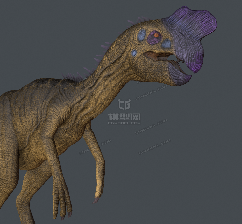 侏罗纪恐龙盗蛋龙窃蛋龙oviraptor古生物模型带骨骼绑定