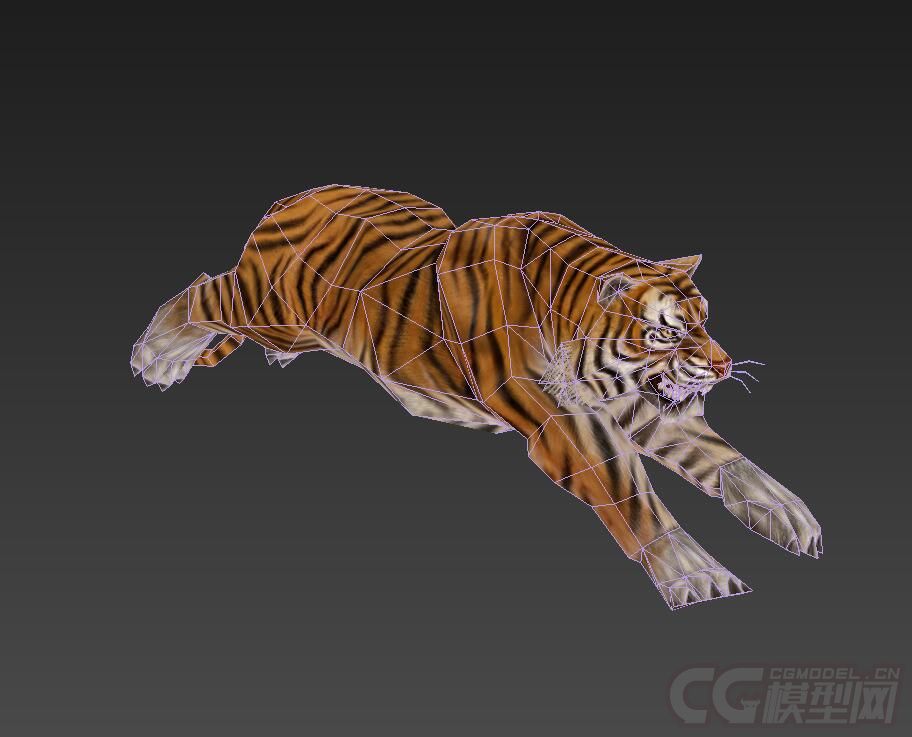 凶猛的老虎3d动画模型黄虎东北虎猛兽带6个动作含骨骼蒙皮
