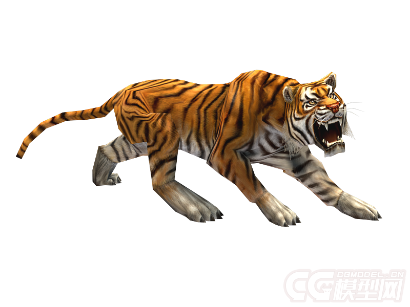 凶猛的老虎3d动画模型黄虎东北虎猛兽带6个动作含骨骼蒙皮