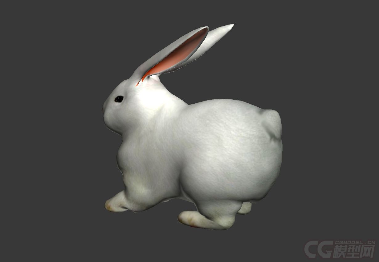 大白兔小白兔兔子宠物兔有绑定跟动画