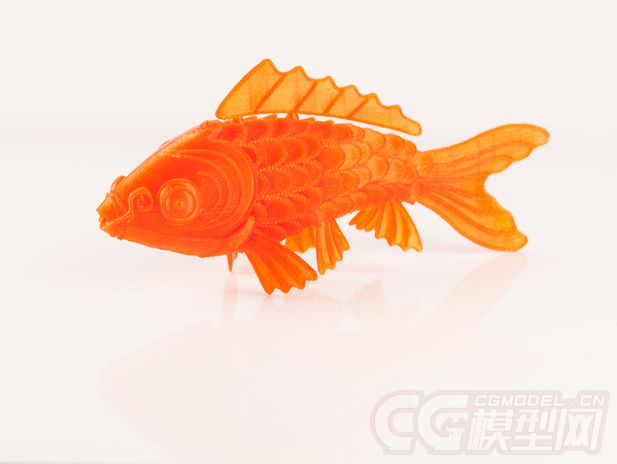 金色锦鲤鱼 3D打印模型 STL格式