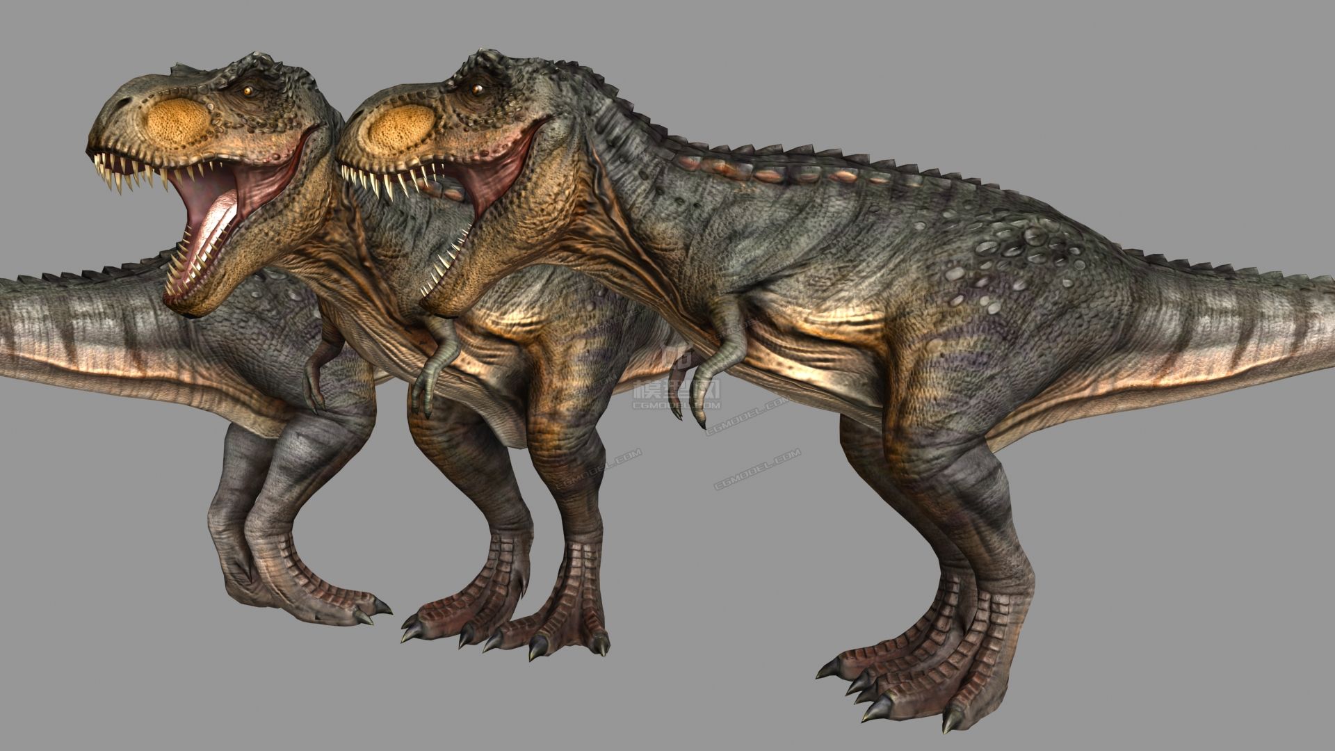 影视级别两种贴图霸王龙暴龙tyrannosaurus rex