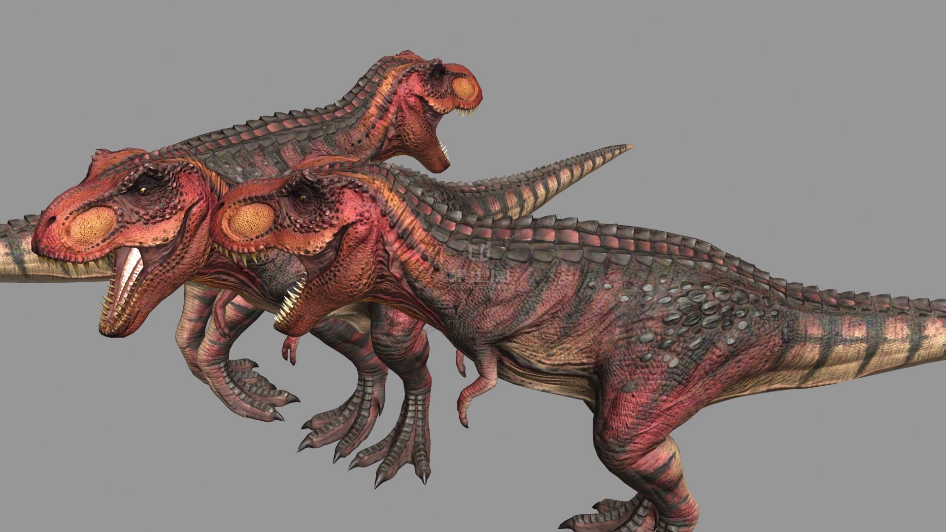 影视级别两种贴图霸王龙暴龙tyrannosaurus rex
