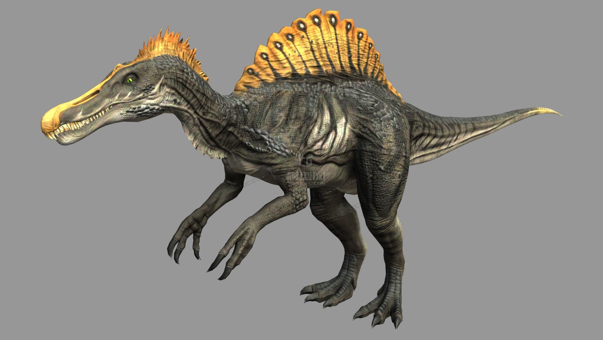 ***别棘龙棘背龙白垩纪食肉恐龙食肉恐龙两种贴图