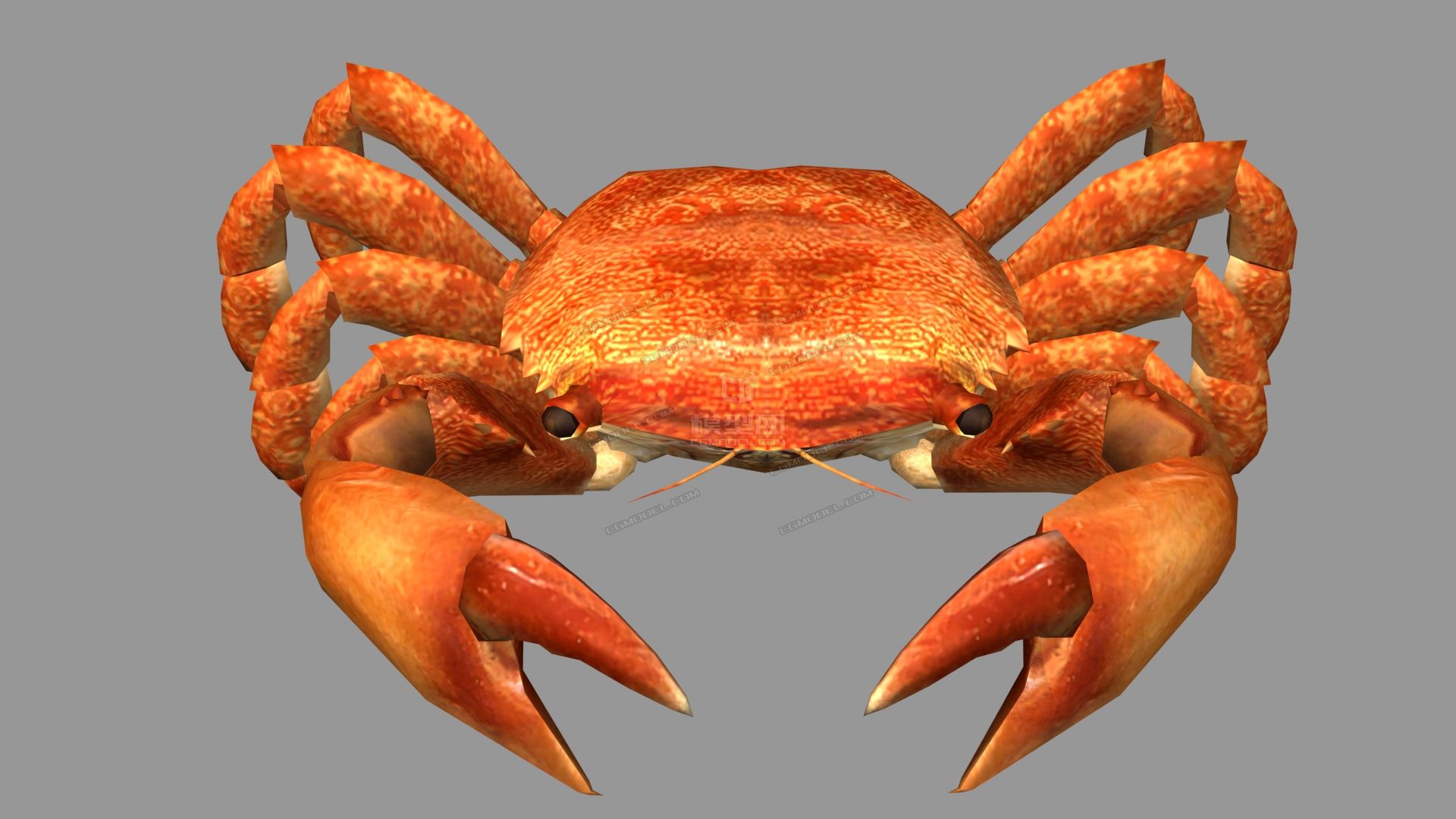 дʵзκբззз