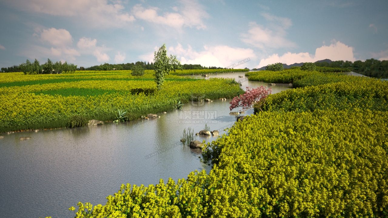 河边油菜花田 油菜花地 乡村田园 生态田园 乡村河流 郊区景点风 田野