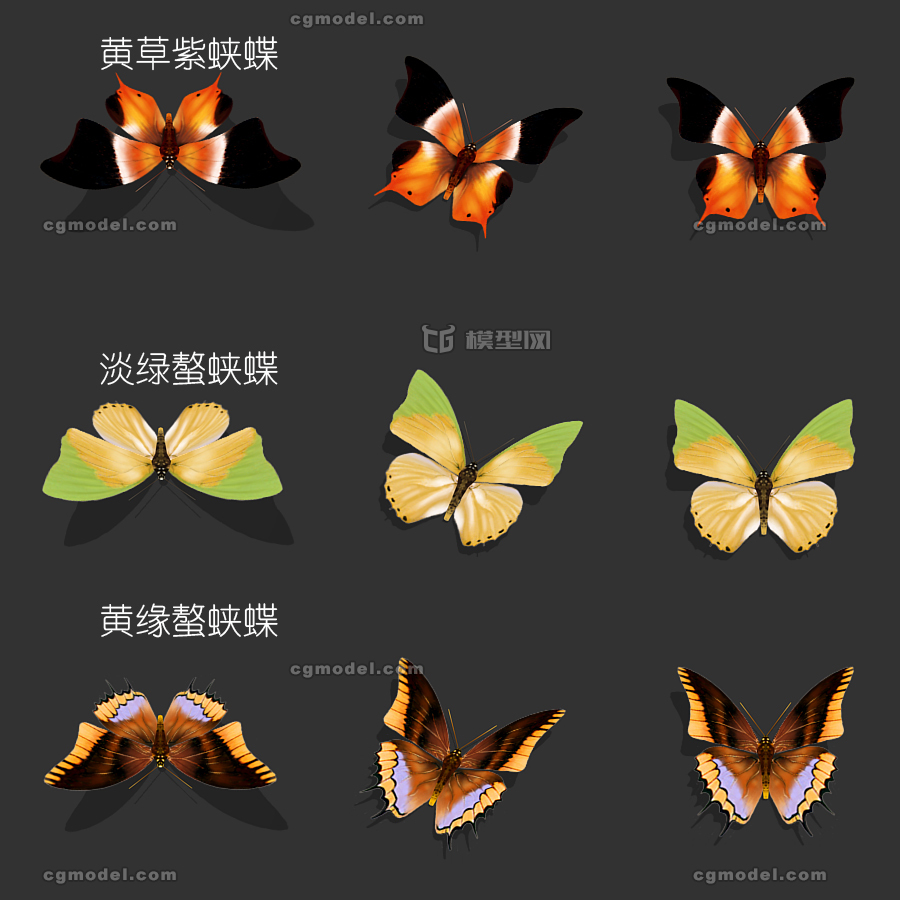 插件:              未塌陷:       点:4 面:12 布线类型:三角形