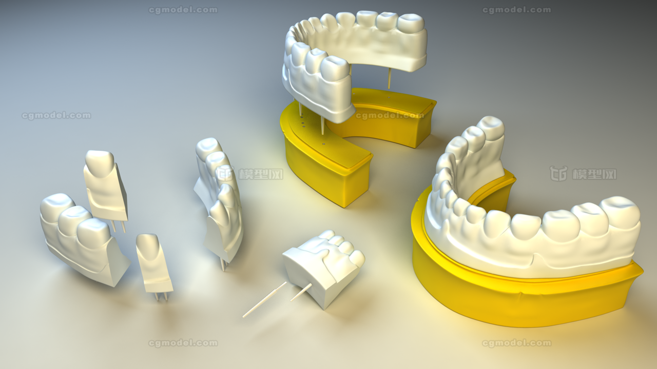 医用或义齿牙科专用模型