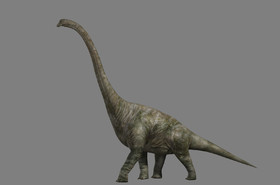 (有动画)写实梁龙 写实恐龙 雷龙 侏罗纪动物有绑定动画,带贴图