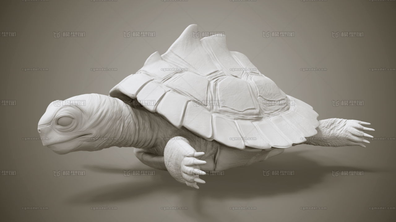 用于影视或3d打印 影视级别 乌龟 龟 海龟 陆龟