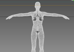 人体动画乳房软草胸部透明人动画相继动画人体