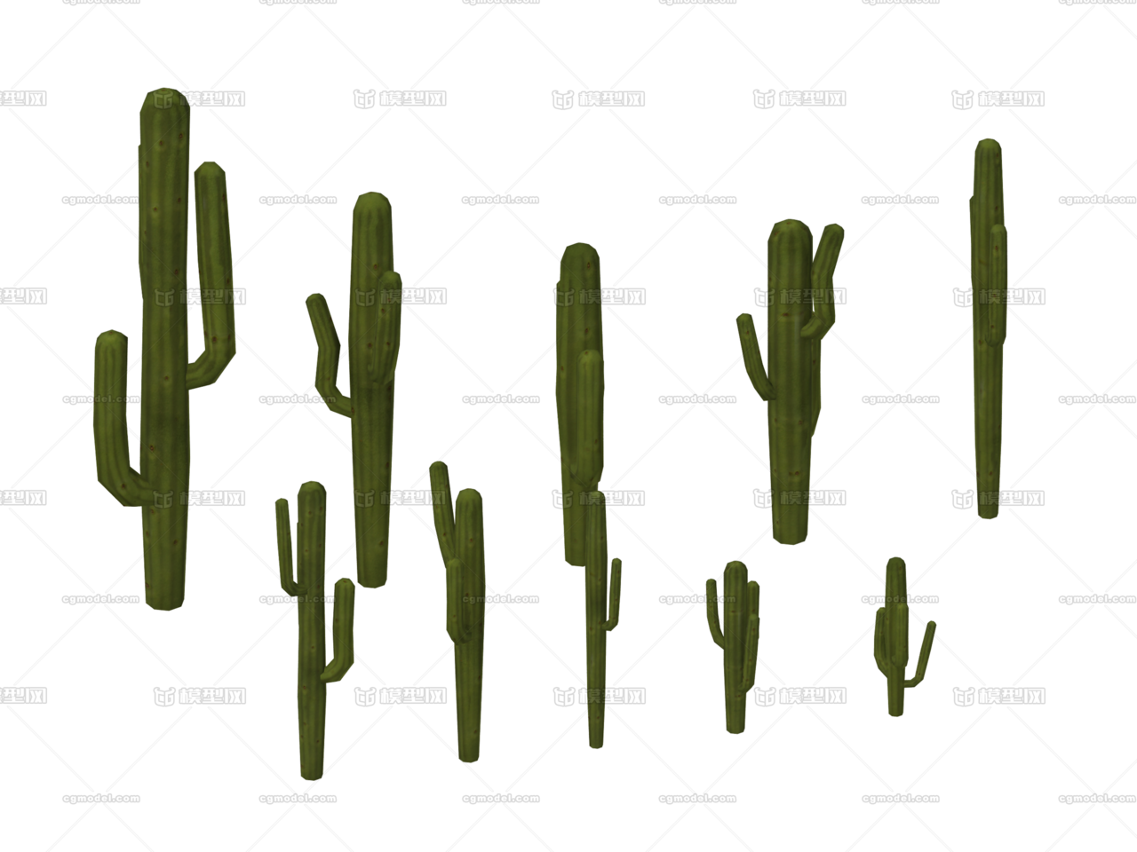 仙人掌 沙漠植物 多肉植物 仙人柱 草类 石头植物 Haimin17 Cg模型网