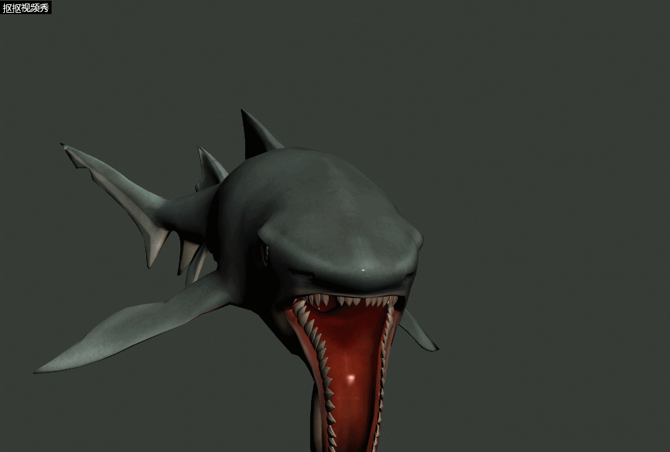 旋齿鲨 旋齿鲨科 旋牙鲨 脊索动物门 古鱼类 卷尺鱼 鲨鱼 海鱼 灭绝的
