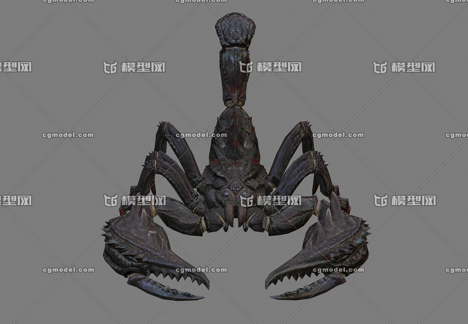 写实远古巨毒蝎 带绑定的两款蝎子 【无控制器】毒蝎子