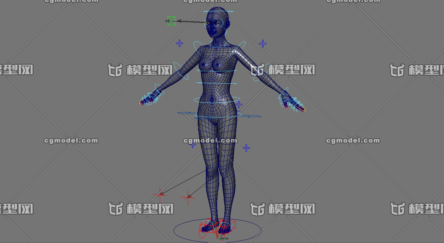 绑定好的女人体基础模型,布线合理,四边面,适合做动画