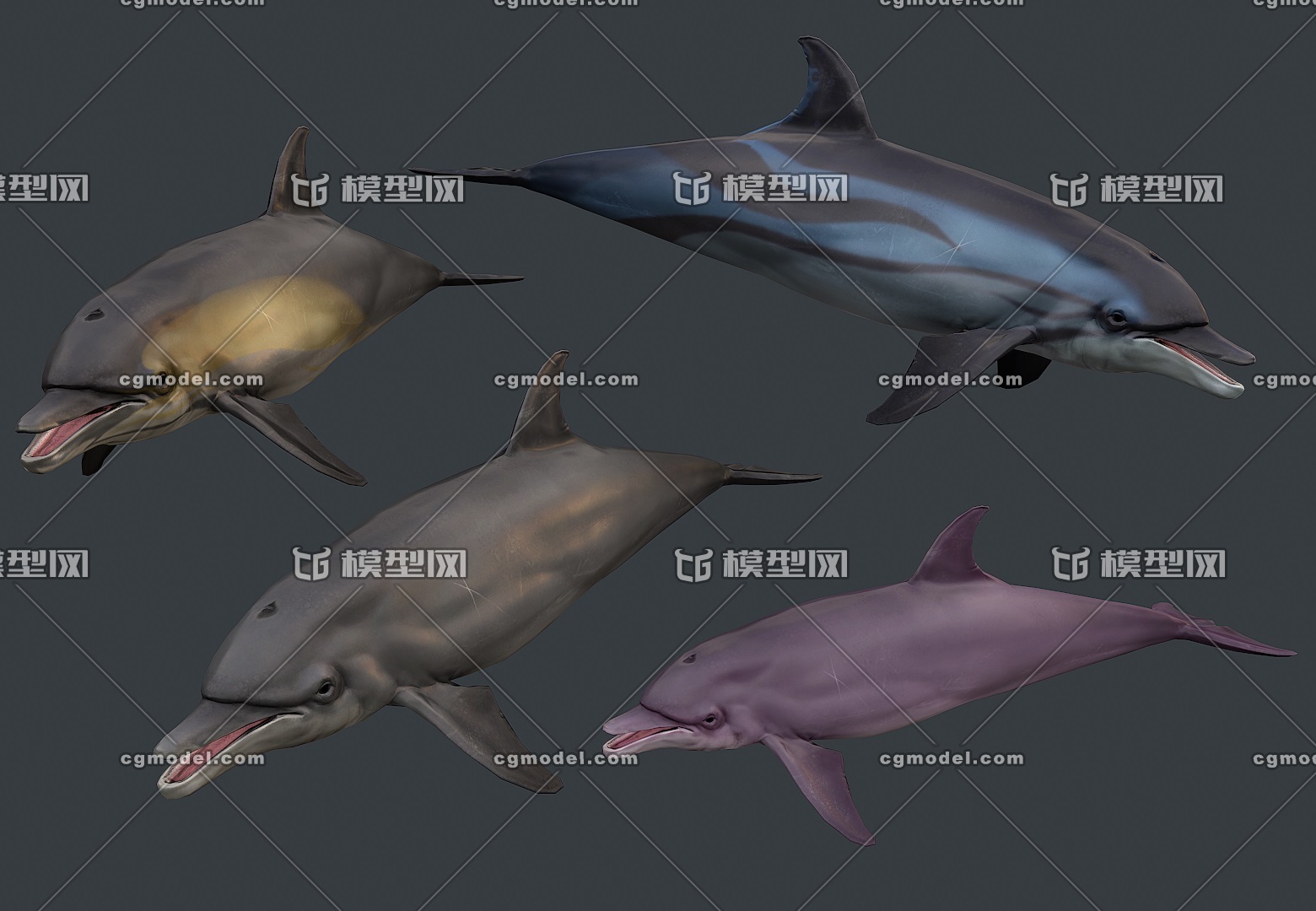 【有绑定】 四种皮肤的海豚 鲸目 脊索动物 海洋 次世代 骨骼绑定