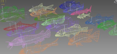 次时代模型_写实淡水鱼_海鱼_带法线贴图_带