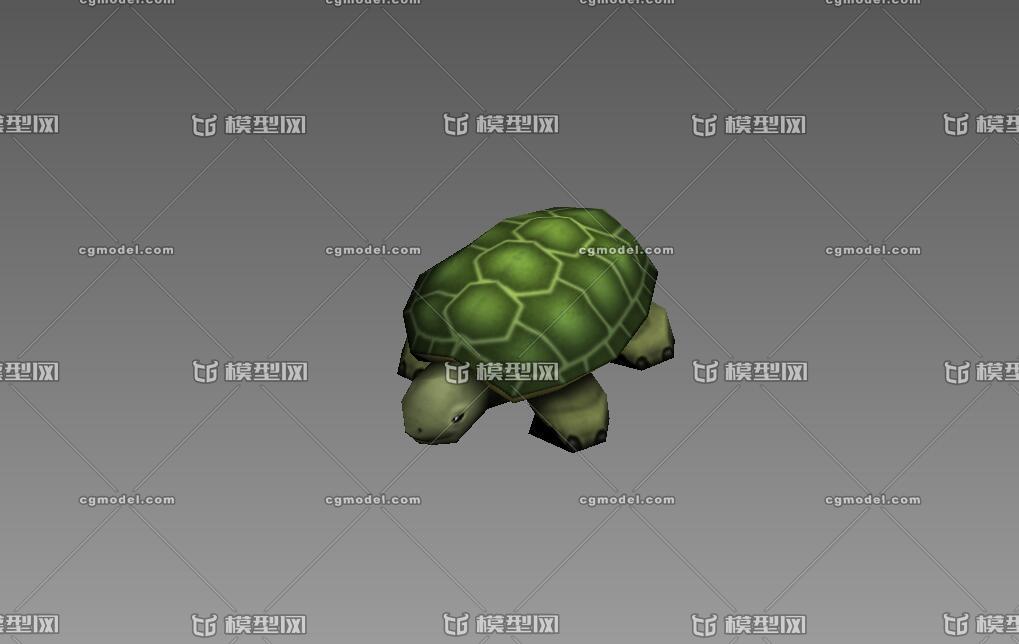 卡通动物_低模小乌龟_4种样式_带fbx走路动画文件_手游模型_无控制器