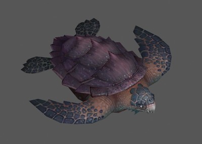 海龟深海巨贵乌龟